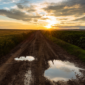 water-puddles